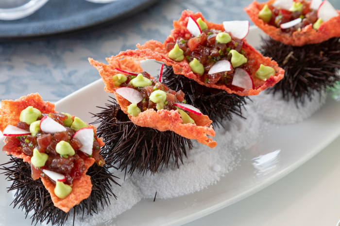 An appetizer of freshly caught tuna with local ingredients presented atop a sea urchin by the chef of Navilux.undefined