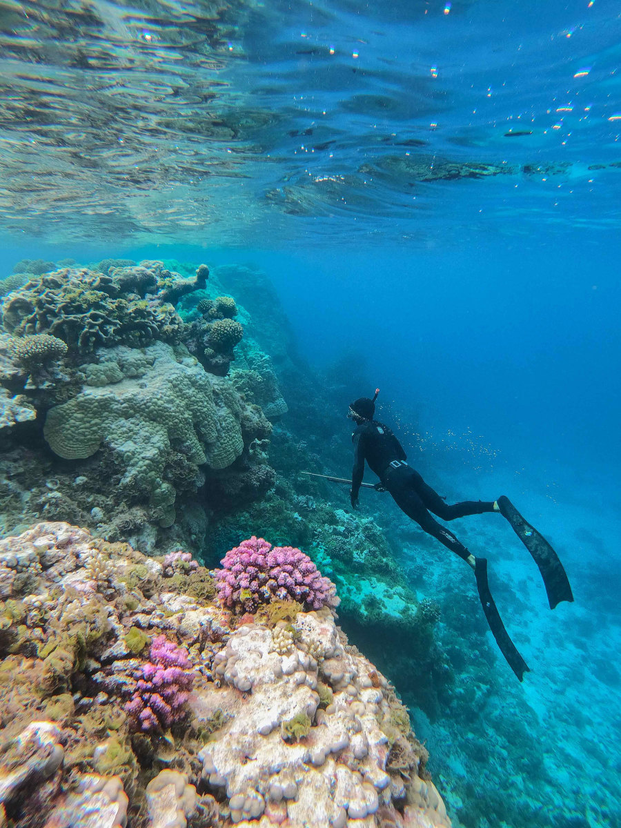 Spearfishing in the crystal-clear lagoon is a popular sport among both residents and visitors in the Gambiers. 